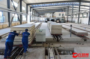 綠色環保建材 產銷兩旺引領建筑行業新變革